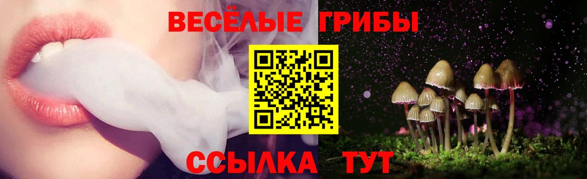 Галлюциногенные грибы Psilocybe  Псилоцибиновые грибы прущие грибы  Балахна  продажа наркотиков  Вход с VPN 
